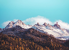 BBIN官网-【官方】尼科·科瓦奇执教多特蒙德，签约1年半