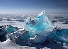 BBIN官网-【官方】尼科·科瓦奇执教多特蒙德，签约1年半